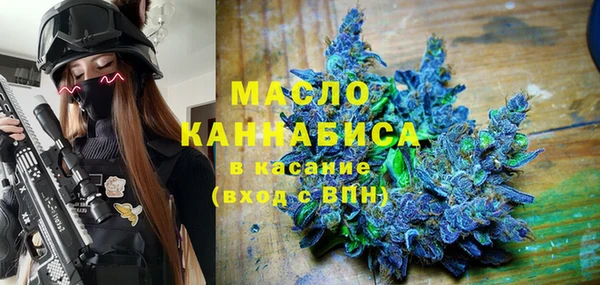 индика Абаза