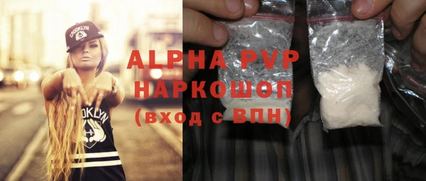 индика Абаза
