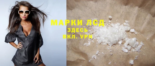индика Абаза
