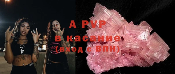 индика Абаза