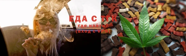 индика Абаза