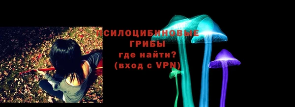 индика Абаза