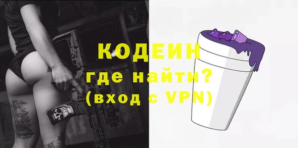 индика Абаза