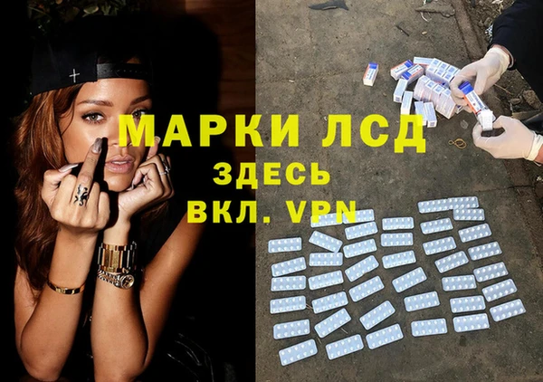 индика Абаза