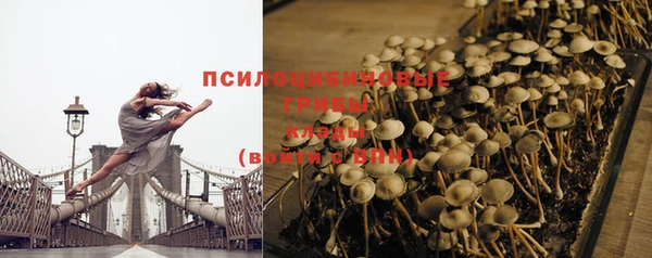 индика Абаза