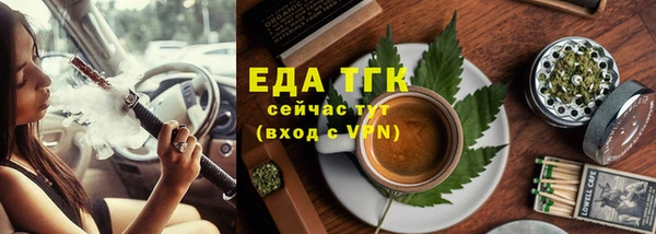 индика Абаза
