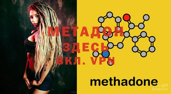 индика Абаза