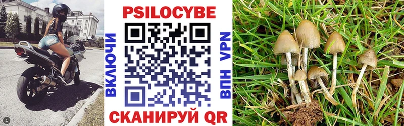 Псилоцибиновые грибы мицелий  купить наркоту  Новосибирск 